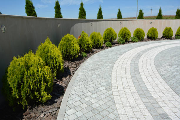 Reasons to Select Us for Your Driveway Paving Requirements in Navajo, NM