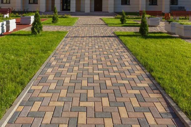 Best Driveway Paving Contractor  in Navajo, NM